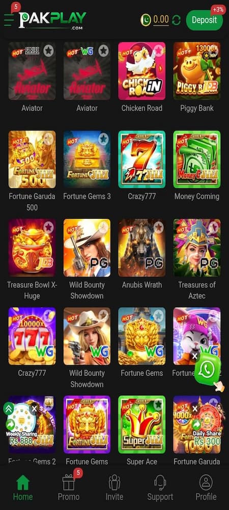PAKPLAY GAME