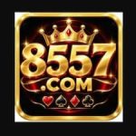 8557 GAME LOGO